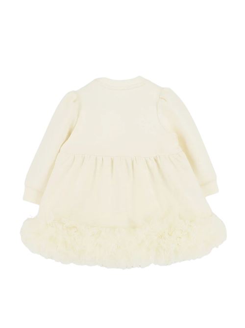  Angel's face | DAWNBI